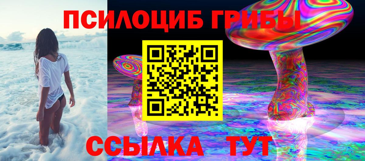 Кимры  Галлюциногенные грибы Psilocybe  Псилоцибиновые грибы Magic Shrooms  Вход с VPN 